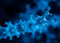 Melatonin’s Healing Power May Run Through One Ancient Longevity Enzyme