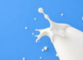 Milk Makes Staphylococcus aureus Thicker, Tougher and Harder to Treat