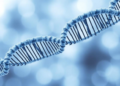 Nanozymes, Engineered Gut Bacteria and mRNA Offer New Hope Against Hyperuricemia