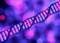 New AI Framework Puts Tissue Geography Into RNA Velocity and Steers Cell Fates In Silico