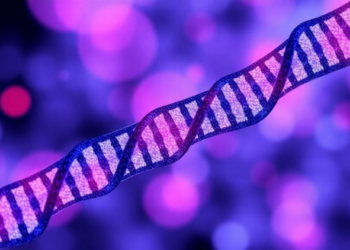 New AI Framework Puts Tissue Geography Into RNA Velocity and Steers Cell Fates In Silico