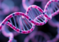 New Computational Tool Links RNA Motifs to the Proteins That Control Splicing