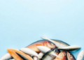New TIDE Framework Reveals Why Seafood SMEs Struggle to Turn Fish Waste Into Profit