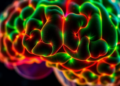 New computational tool maps the cell-state crosstalk that decides survival in IDH-mutant glioma