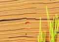 Oak Wood Pretreatment Strips Lignin to Build Stronger Green Fibers