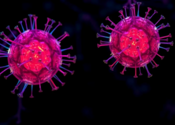 Old Breast Cancer Drug Ormeloxifene Pushes Tumor Cells Into Irreversible Senescence