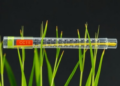 One Tube, Six Genes: Multiplex PCR Speeds Up Climate-Resilient Rice Breeding