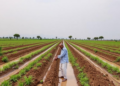 Only One in Ten Farms Irrigates: The Hidden Barriers Holding Back Southern Ethiopia’s Smallholders