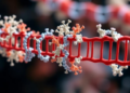 Phase-Separation Discovery Reveals How a Key Gene-Regulating Complex Assembles Itself