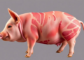 Pig Genes and Gut Microbes Team Up to Shape the Flavor of Your Pork