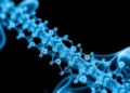 Plant-Powered Silver Nanoparticles Show Promise for Healing Spinal Cord Injuries