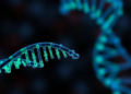 RNA Chemical Tag Drives Endometrial Cancer Through a DNA Repair Protein, Study Finds