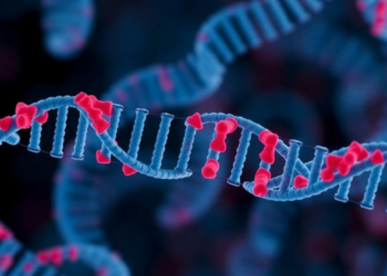 RNA-Destroying Enzyme Regnase-1 Emerges as a Master Switch in Autoimmune Disease