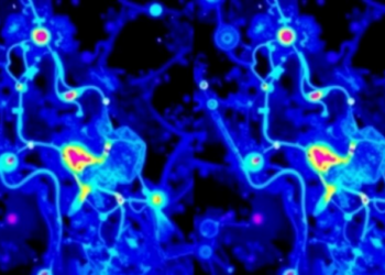 Raman Imaging Team Defends Label-Free Spectral Maps Against Criticism