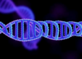 Raman Spectra of Viral RNA Reveal a New Way to Tell SARS-CoV-2 Variants Apart