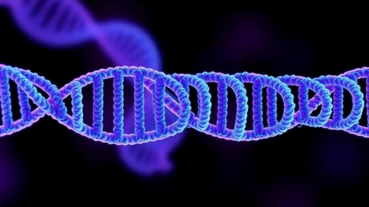 Raman Spectra of Viral RNA Reveal a New Way to Tell SARS-CoV-2 Variants Apart
