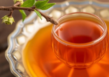 Scientists Find the Perfect Way to Brew a Rare Chinese Bud Tea
