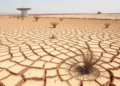 Severe Drought Flips the Balance Between Resistance and Recovery in China’s Drylands