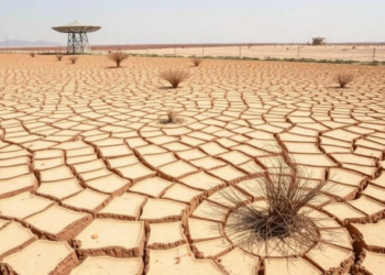 Severe Drought Flips the Balance Between Resistance and Recovery in China’s Drylands