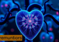 Shikonin Shields the Heart From Chemotherapy Damage by Restoring Mitochondrial Balance