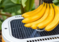 Smart Solar Dryer Knows When Bananas Are Done, Cutting Drying Time by 20 Percent