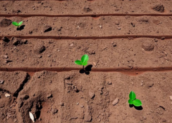 Soil Health, Not Single Species, Rewrites Metal Risk Maps in Tianjin