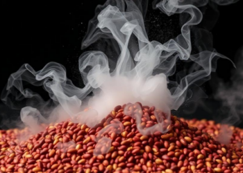 Steam Explosion Trick Unlocks Hidden Antioxidants in Ancient Amaranth Grain