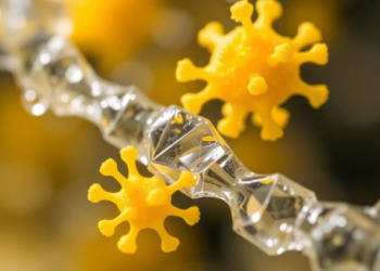 Sulfur-Tweaked Catalyst Splits Water and Destroys Antibiotics With One Material