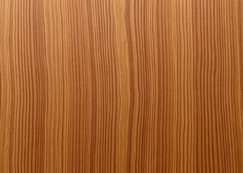 Thirty Years of Teak Data Reveal Which Clones Deserve to Stay