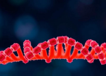 Tiny Genetic Regulators Go Awry in Rare DNA Repair Disorder, Study Finds