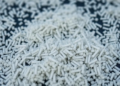 Tiny Particles, Big Harvest: How Nanotechnology Could Transform Fish Farming