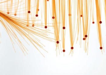 Tiny Wood Whiskers Could Replace Toxic Surfactants in Next-Generation Emulsions