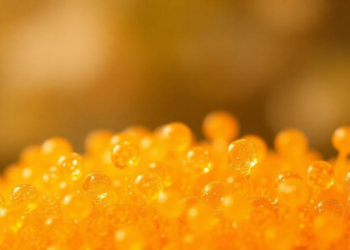 Tiny Zinc Oxide Dots on a Borneol Polymer Wipe Out Bacteria as Well as Antibiotics