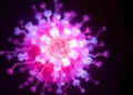 Two Cancer Drugs Self-Assemble Into Glowing Nanoparticles That Block Metastasis