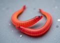 Worm Infection Breakthrough: Blocking a Single Receptor Supercharges Anthelmintic Drugs