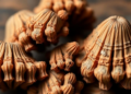 Amazonian Sacha Inchi shells become cheap carbon filters for mercury removal