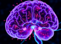 Clinical Risk Scores Cannot Stand In for Neurofilament Biomarkers in ALS Trials, Study Finds