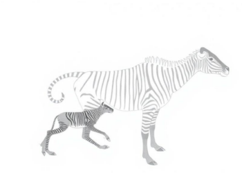 Species 2000 Closes After 28 Years, Handing Earth's Species List to New Foundation