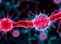 Gastric Cancer Cells and Fibroblasts Locked in a Deadly Mutual Promotion Loop