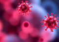 Blood Cancer Risk After CAR-T and Stem Cell Transplants: Systematic Review Maps Latency and Clonal Drivers