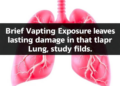 Brief Vaping Exposure Leaves Lasting Damage in the Lung's Deepest Tissue, Study Finds