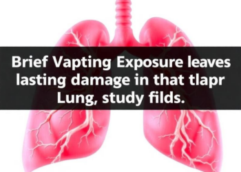 Brief Vaping Exposure Leaves Lasting Damage in the Lung's Deepest Tissue, Study Finds