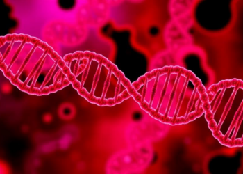 Hidden RNA Structures in Pancreatic Cancer Cells Reveal New Drug Vulnerability