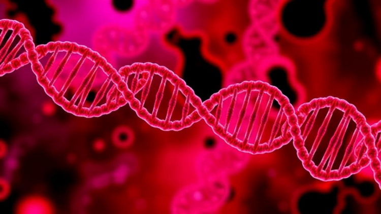 Hidden RNA Structures in Pancreatic Cancer Cells Reveal New Drug Vulnerability