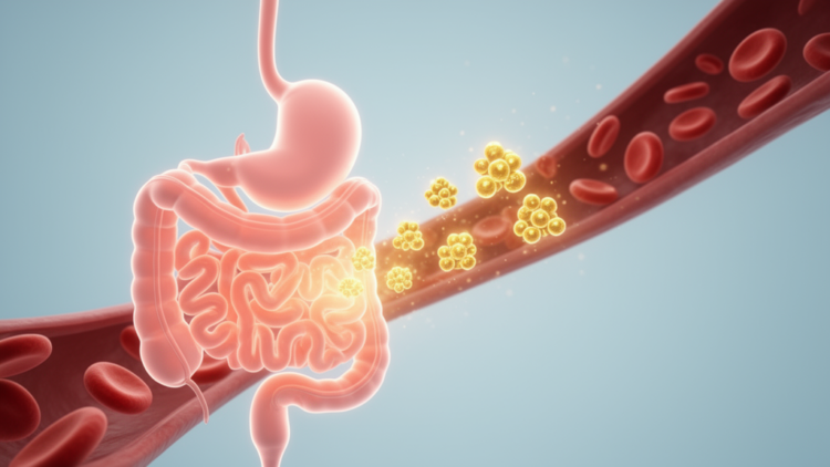 Blood protein FGF5 emerges as early warning sign of deadly infant gut disease