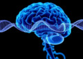 Why siRNA Delivery Keeps Failing in Neurodegenerative Diseases