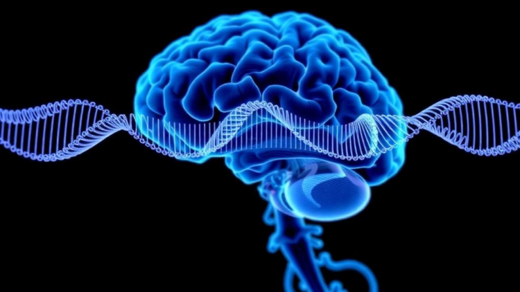 Why siRNA Delivery Keeps Failing in Neurodegenerative Diseases