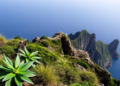 Montecristo's secret flora revealed: 582 plants on Italy's forbidden island