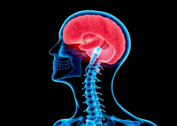 Apps and Websites May Ease the Brutal Symptom Burden of Head and Neck Cancer Treatment, Review Finds