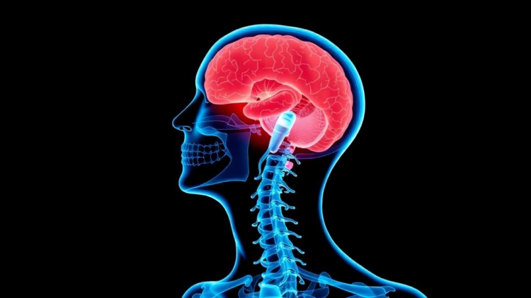 Apps and Websites May Ease the Brutal Symptom Burden of Head and Neck Cancer Treatment, Review Finds